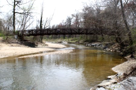 Paint Branch Creek