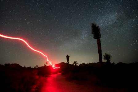 Boy Scout Trail at Night with Hiker using a Headlamp