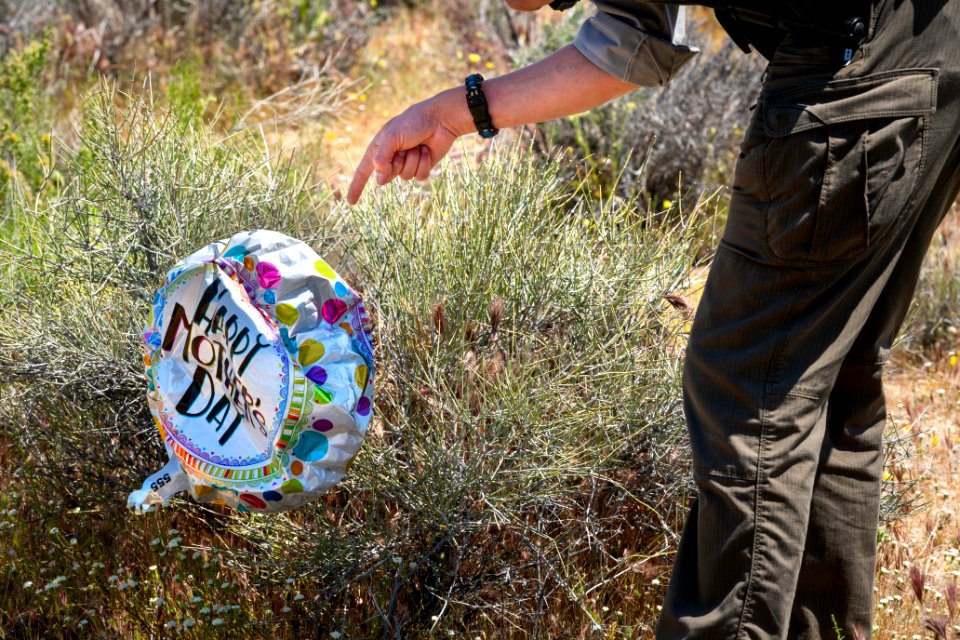 Park ranger pointing at balloon litter