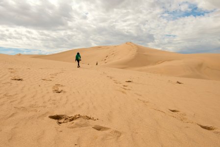 Cadiz Sand Dunes at Mojave Trails National Monument photo