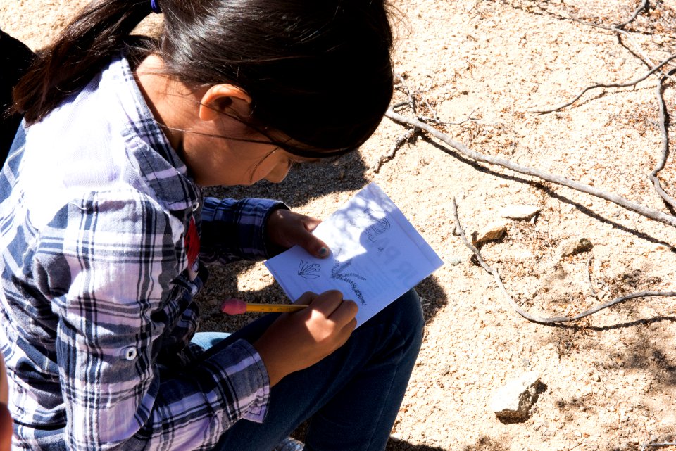 Student writing in field notebook