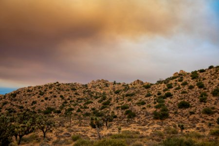 Smoke from the Apple Fire over Covington Flats