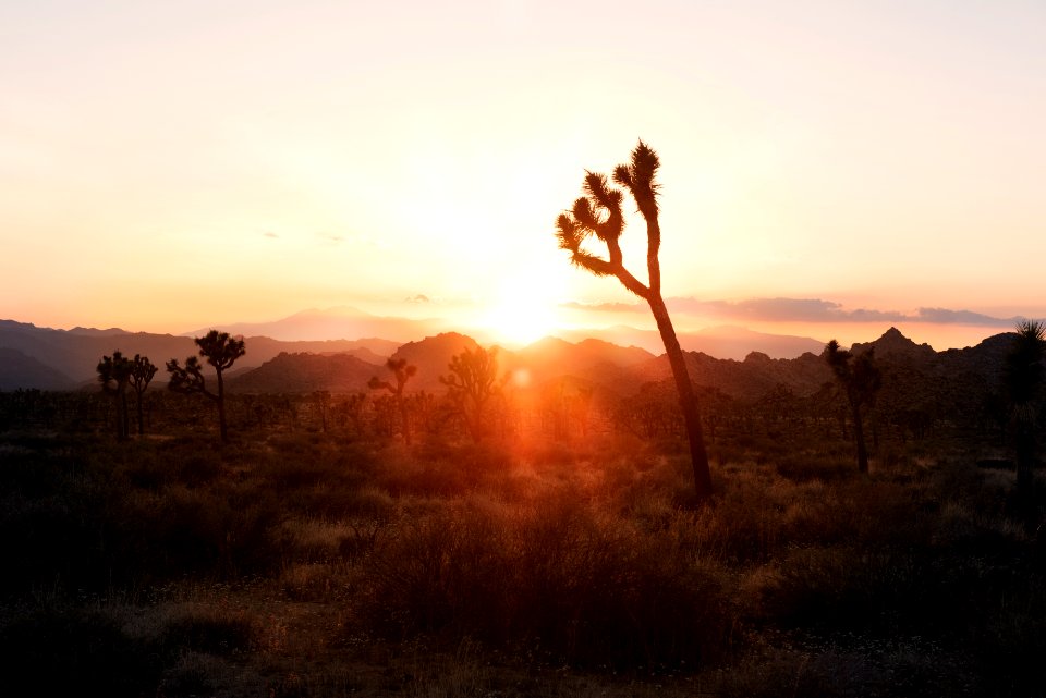 Sunset along the Boy Scout Trail