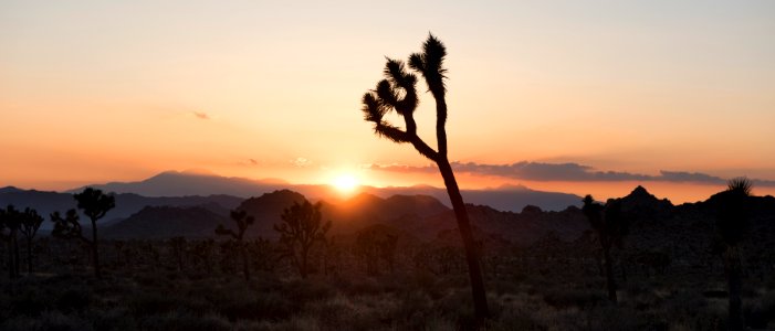 Sunset Panorama near the Boy Scout Trail photo