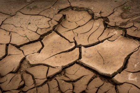 Cracked earth in Pinto Basin