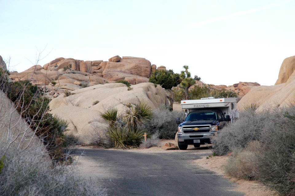 Jumbo Rocks Campground