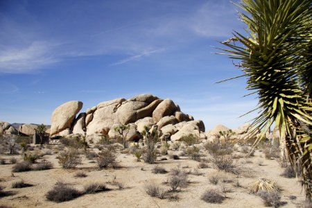 Belle Campground