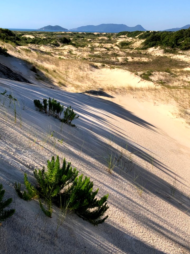 Dunas da Praia da Joaquina