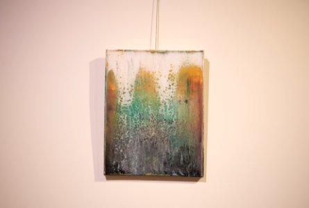 Black Rock Gallery: Juniper Harrower