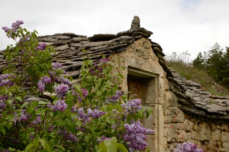 Stone roof lilac stone house