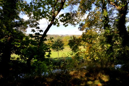 Looking back to Winchester from the canal cut