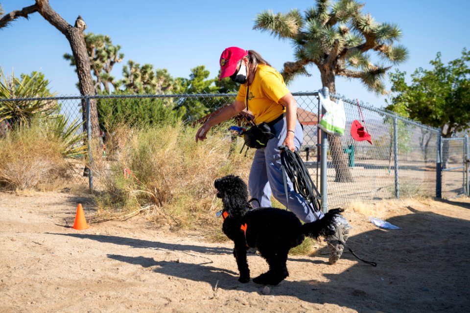 Search and Rescue Canine Team with volunteer