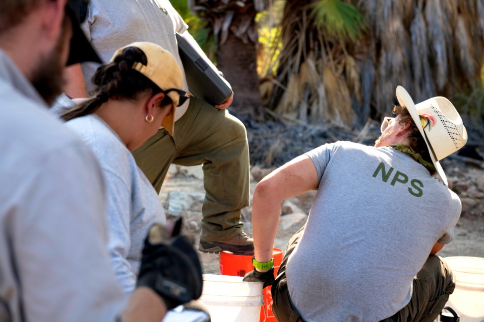 Park rangers performing archaeology surveys at Cottonwood Springs