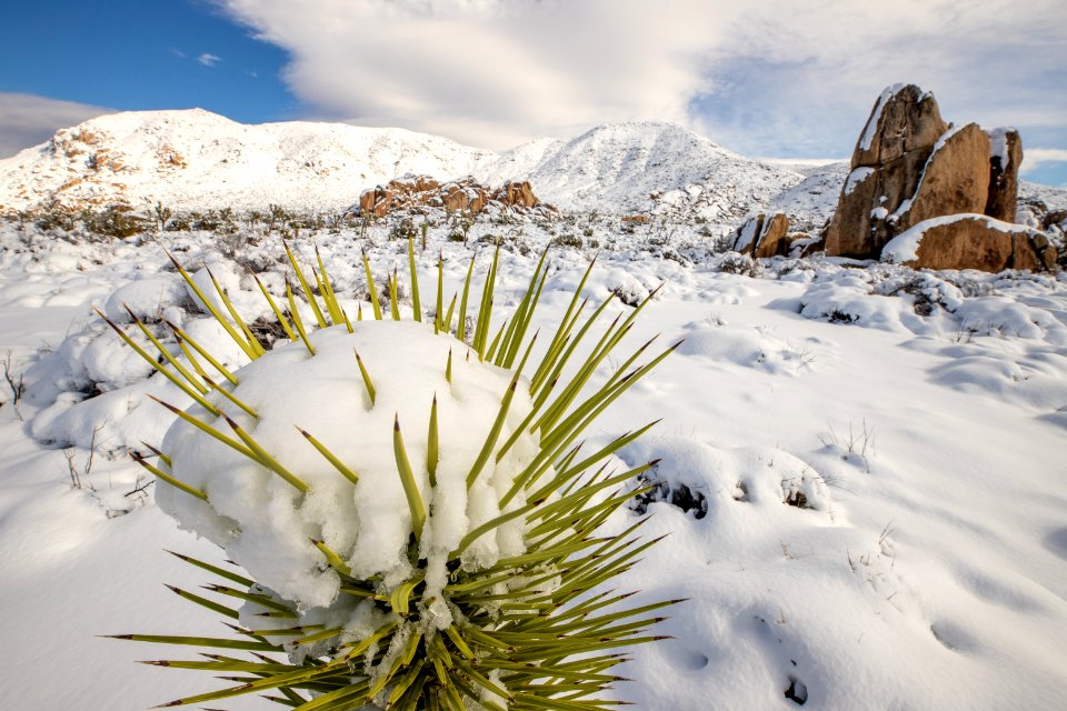 Snow near Ryan Ranch Campground