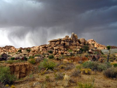 Thunderstorm; Desert Queen Ranch (Keys Ranch)