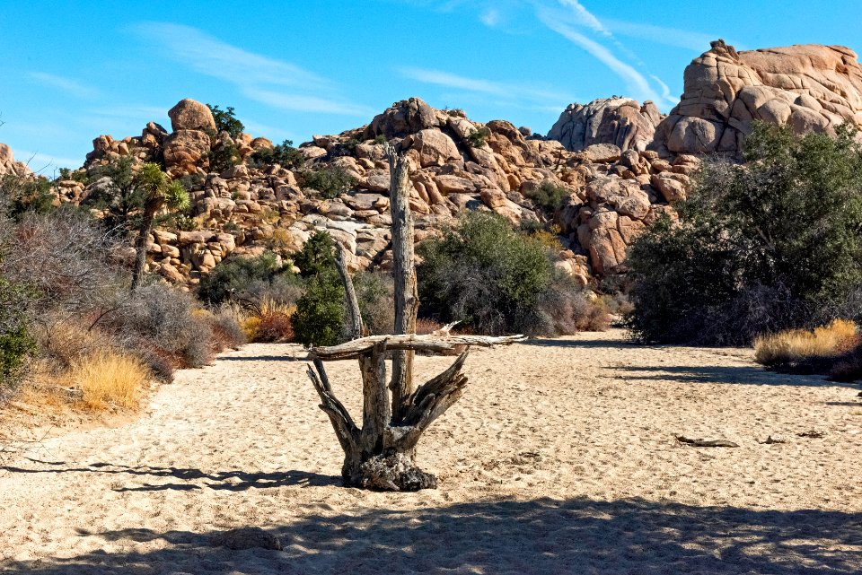 Trail marker along Willow Hole trail
