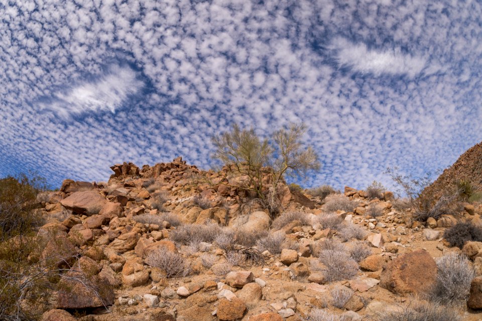 Fallstreak Holes in Cirrocumulus Clouds