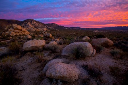 View of Ryan Mountain at Sunset