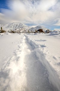 Ryan Ranch Trail in the snow photo
