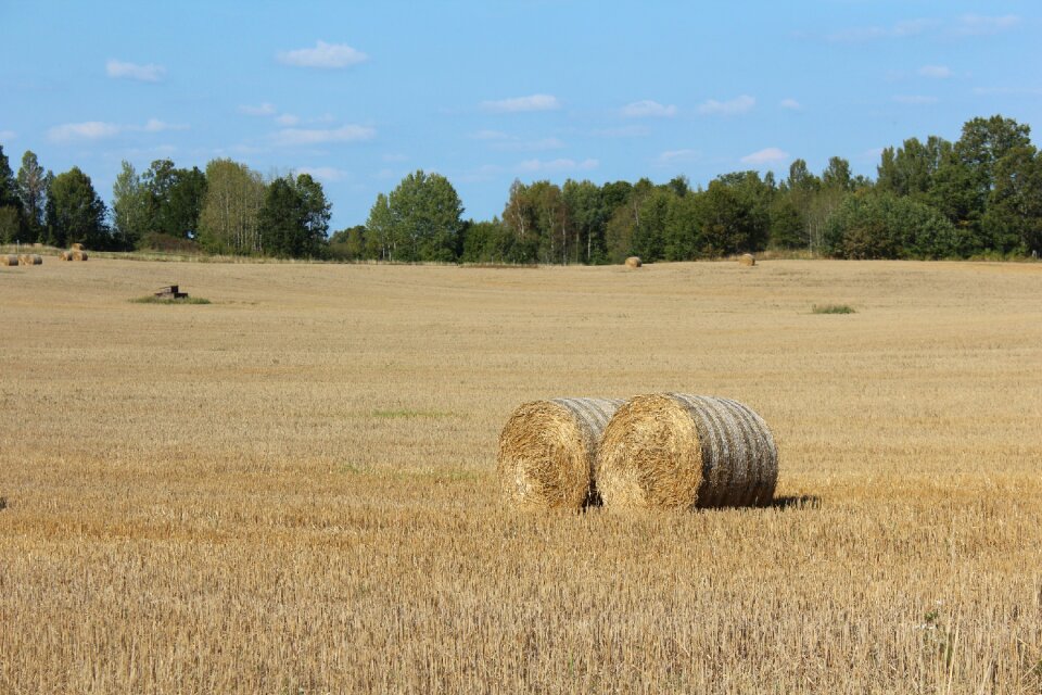 Farmer go countryside