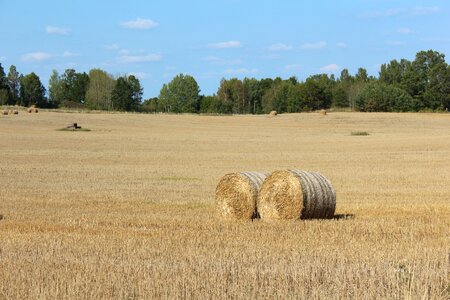 Farmer go countryside