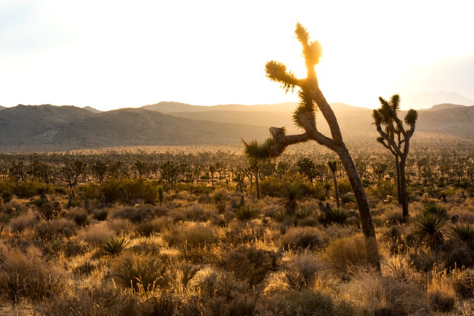 Sunset in Lost Horse Valley; 12/3/15