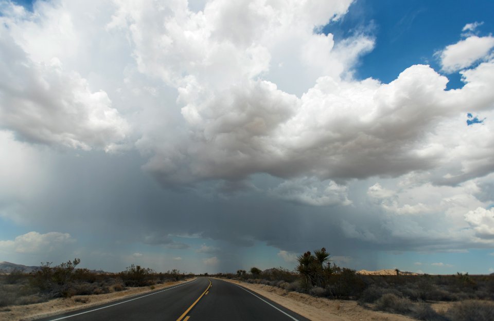 Monsoon rainfall in the Pinto Basin