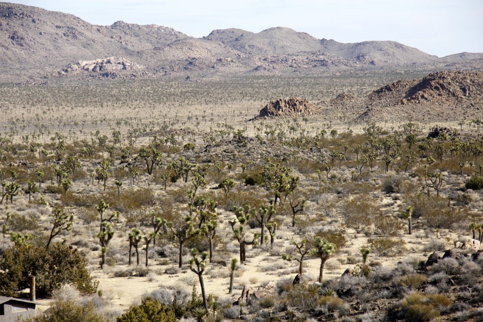 View from Sheep Pass group campground