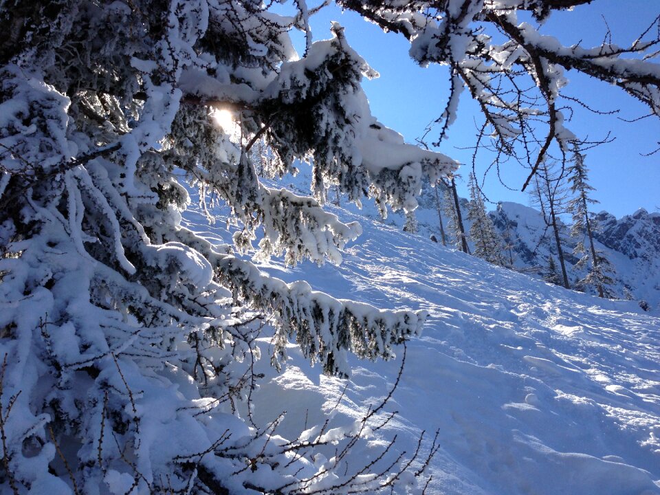 Mountains white skiing photo