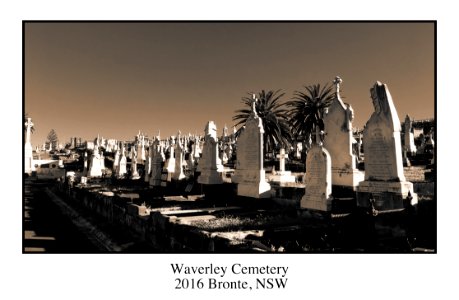 Waverley Cemetery photo