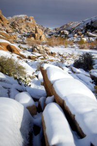 Snowfall on 12/31/14 - Along Barker Dam trail