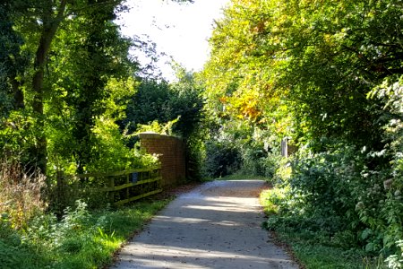 Walking around St Catherine's Hill, Winchester, October 2016
