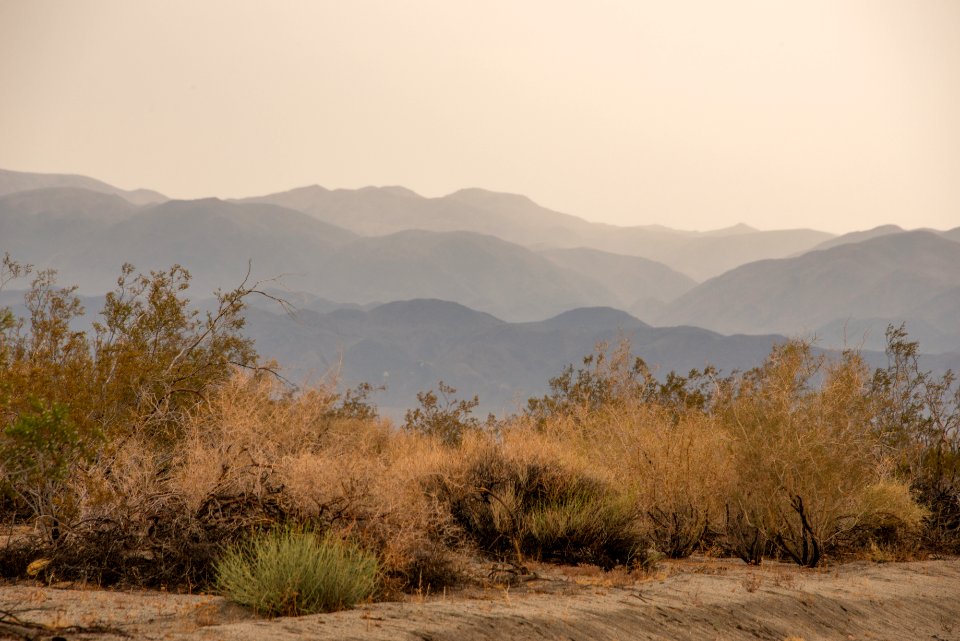 Rain in Pinto Basin Area 7/1/15
