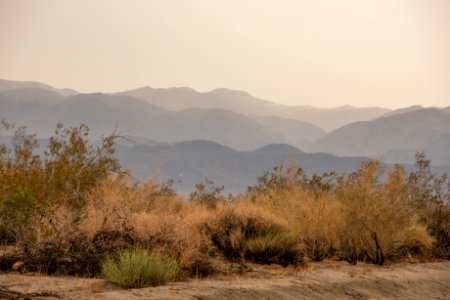 Rain in Pinto Basin Area 7/1/15