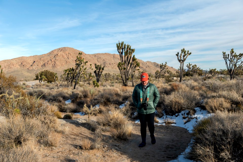 Hiking in the Mojave Preserve Joshua Trees