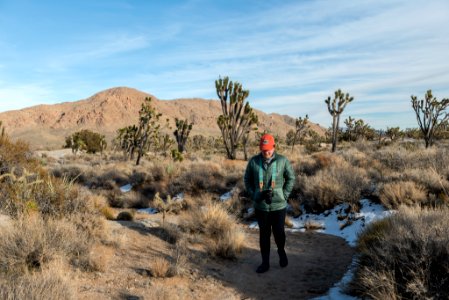Hiking in the Mojave Preserve Joshua Trees