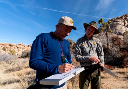 Volunteers during a Joshua Tree Monitoring.
