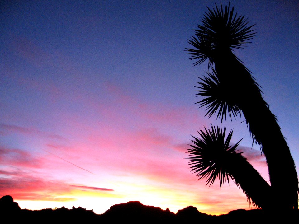 Sunset at Jumbo Rocks photo