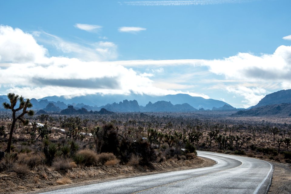 View with road