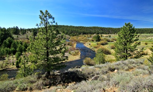 Little Truckee River