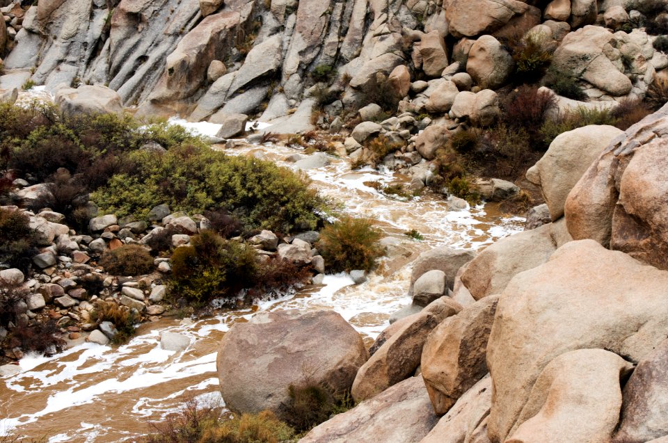 Rattlesnake Canyon in the rain
