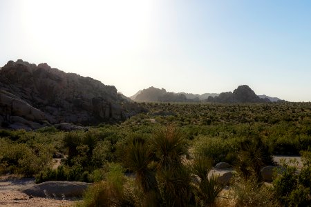 Overlooking Indian Cove from Rattlesnake Canyon