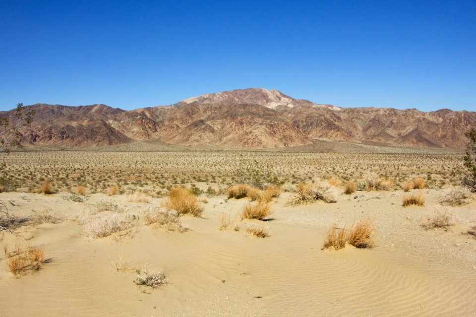 Pinto Mountain view from the Pinto Dunes