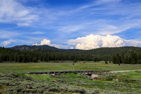 Kyburz Flat