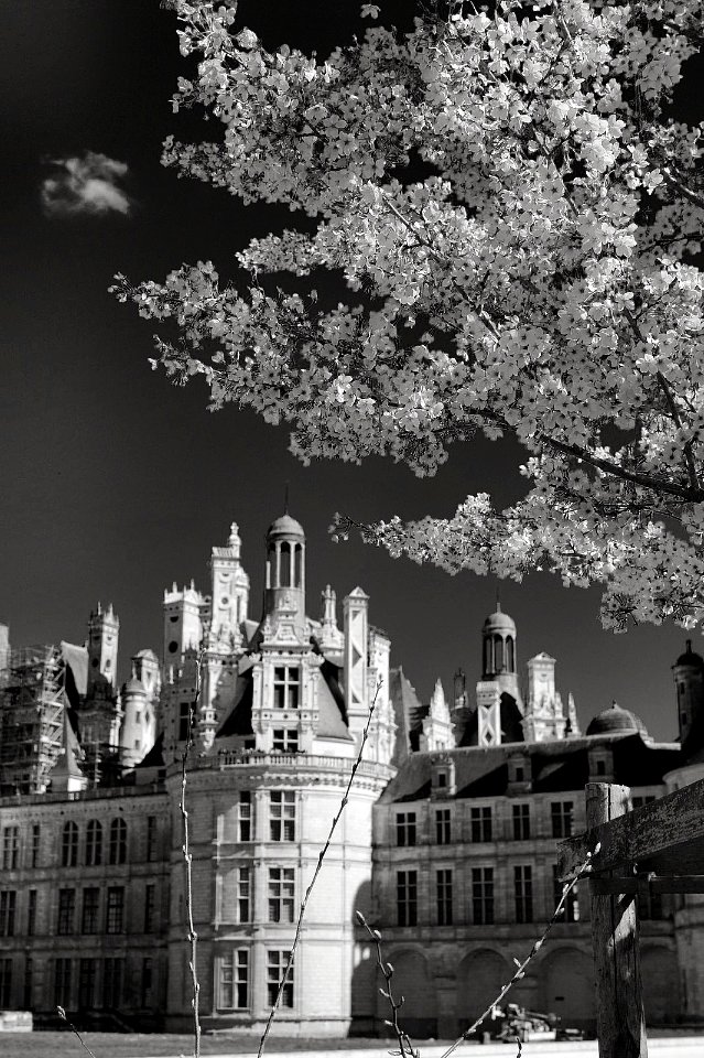 Chateau de Chambord