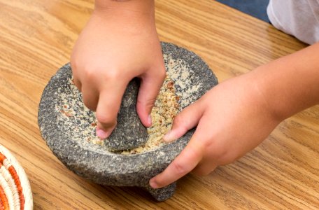 GATE (Gifted and Talented Education) students grind acorns