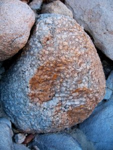 California tree megacryst in Rattlesnake Canyon photo