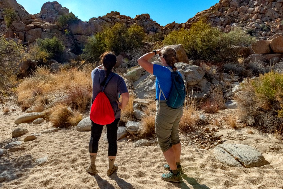 Hikers on Willow Hole trail
