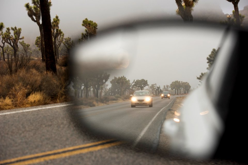 Foggy Day in Joshua Tree National Park