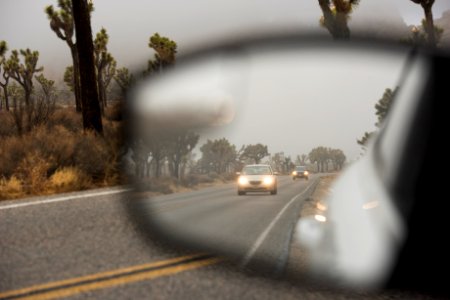 Foggy Day in Joshua Tree National Park